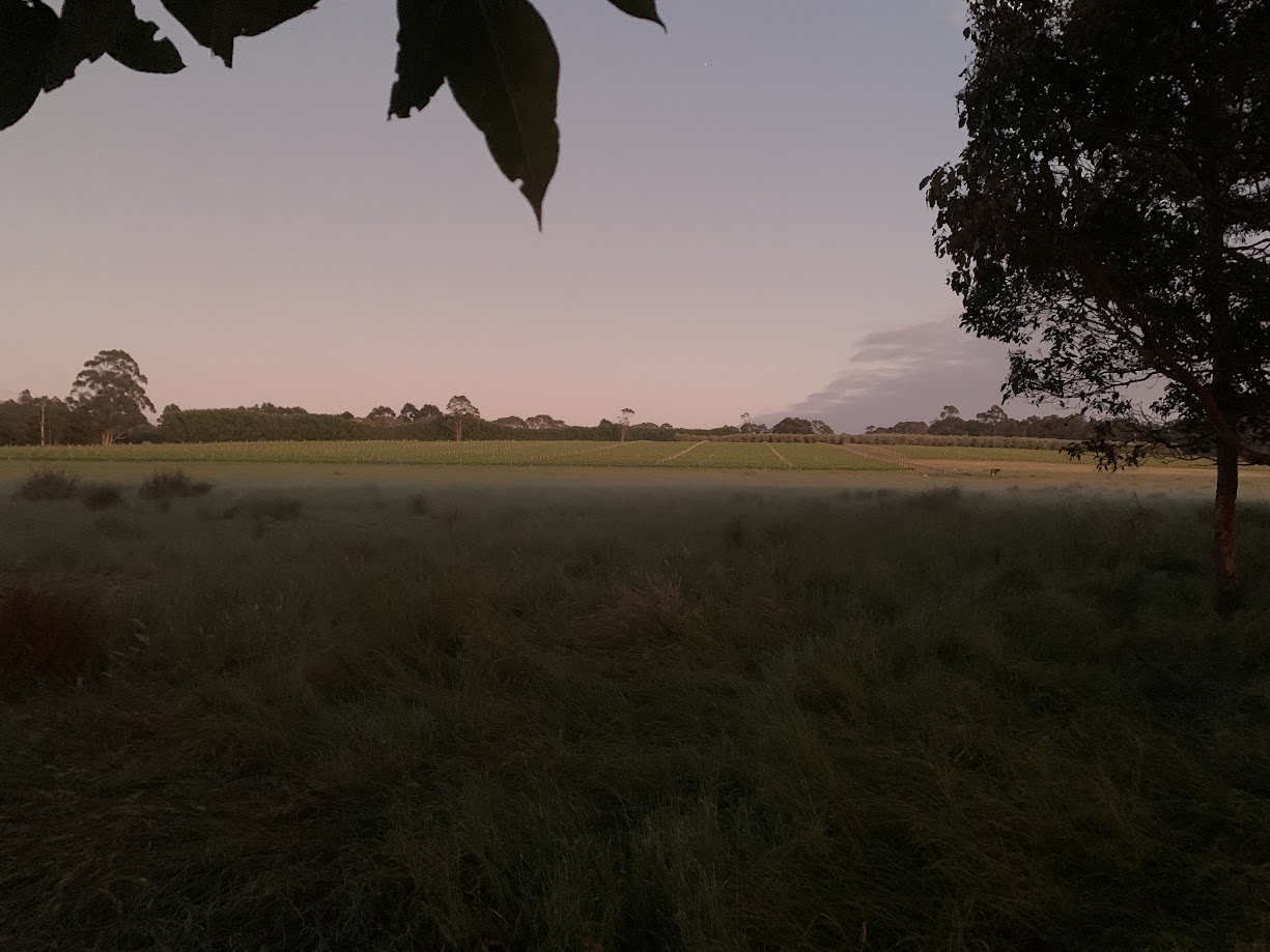 Early Morning